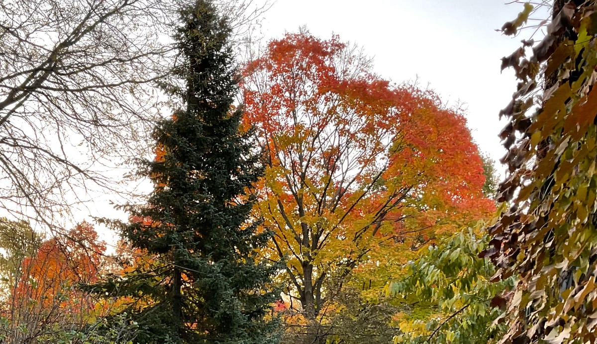 The cycle of life and living